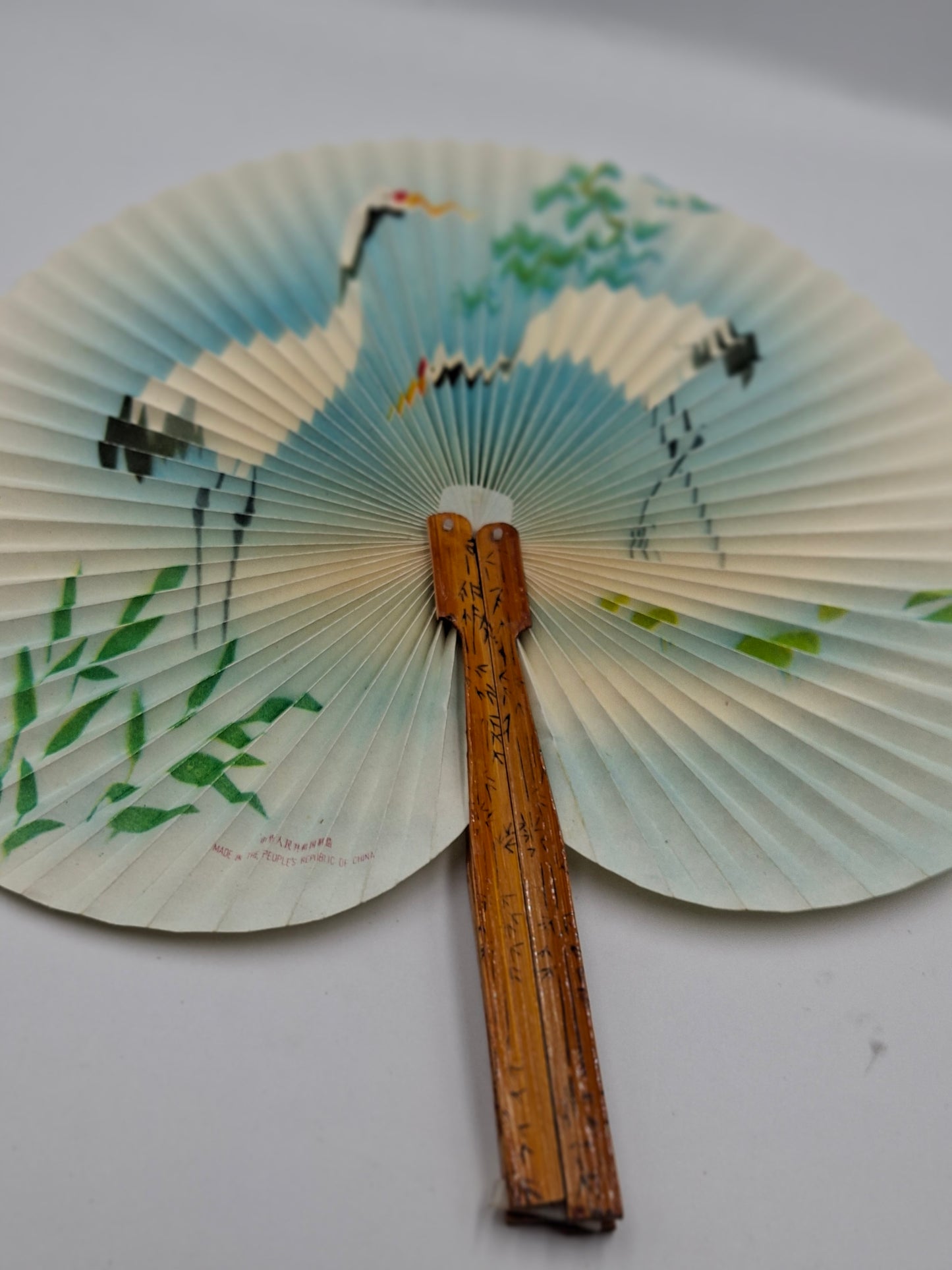 FAN