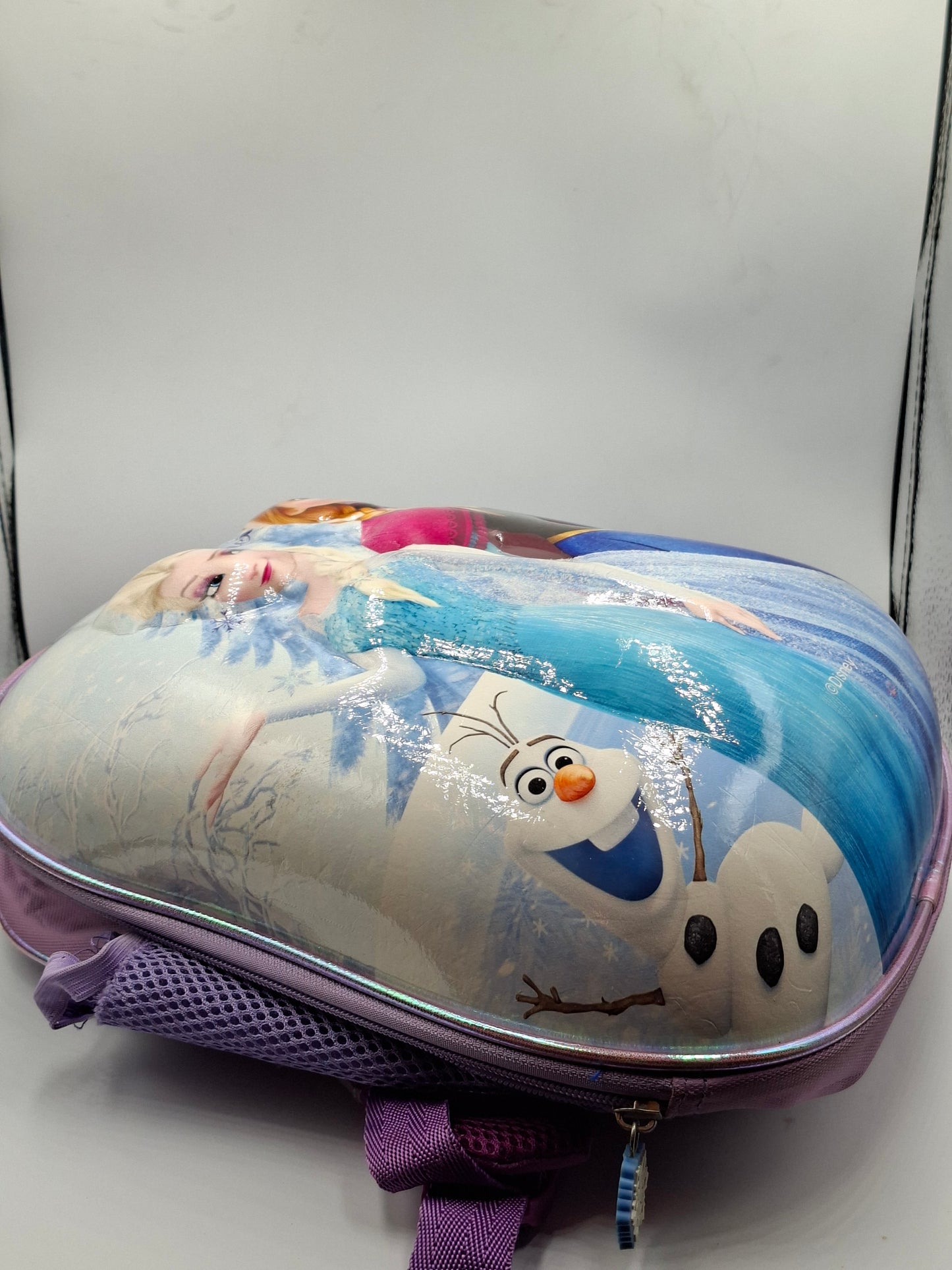 FROZEN BAG