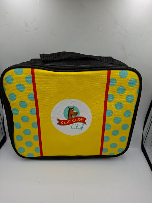INSULATED LUNCH BAG