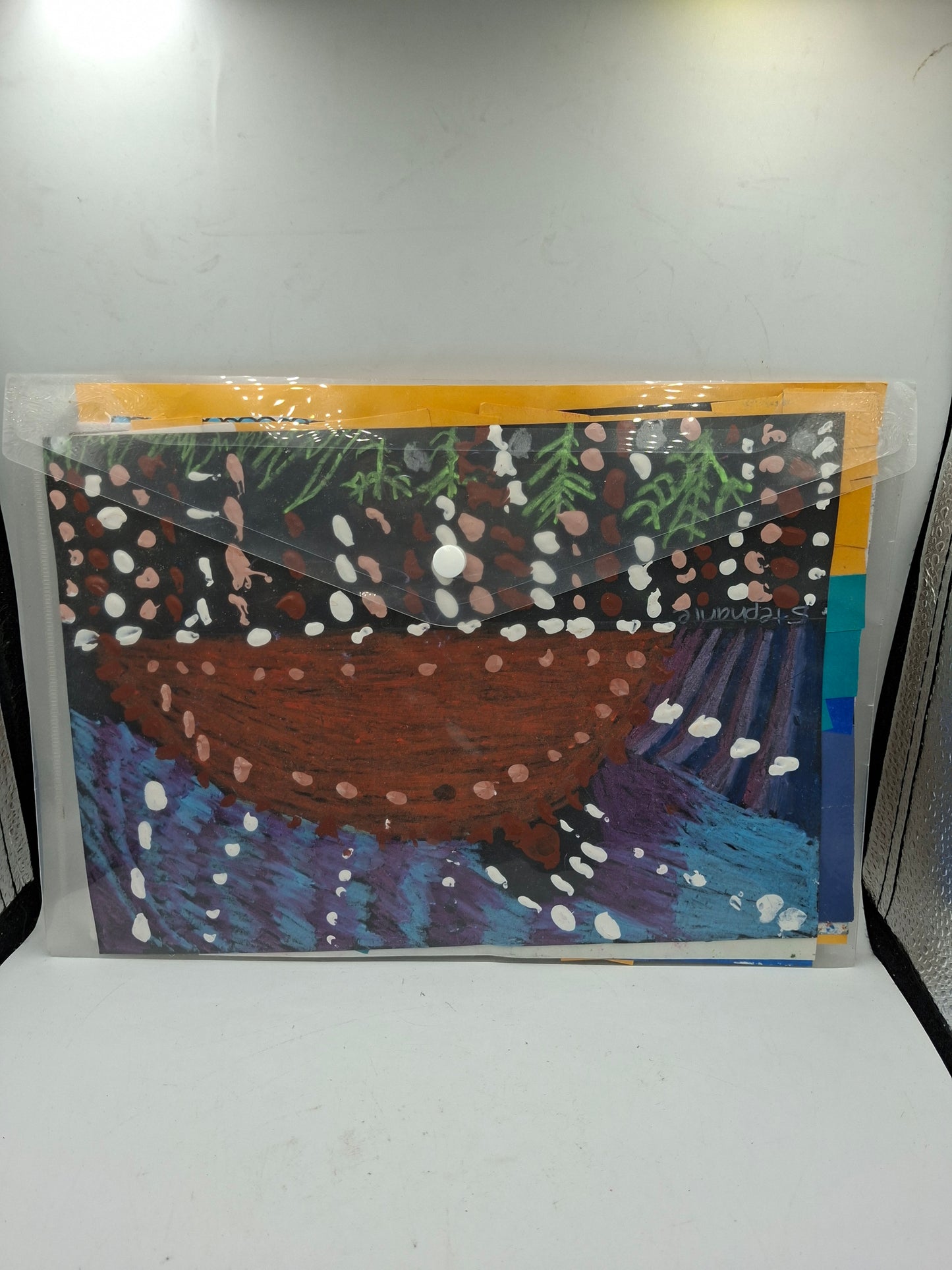 TRANSPARENT FILE POUCH