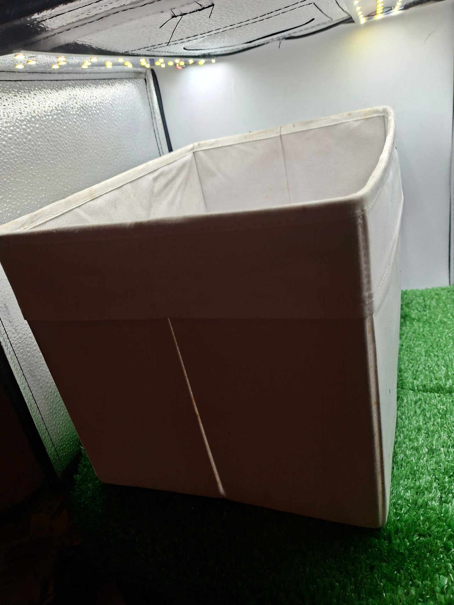 ORGANIZER