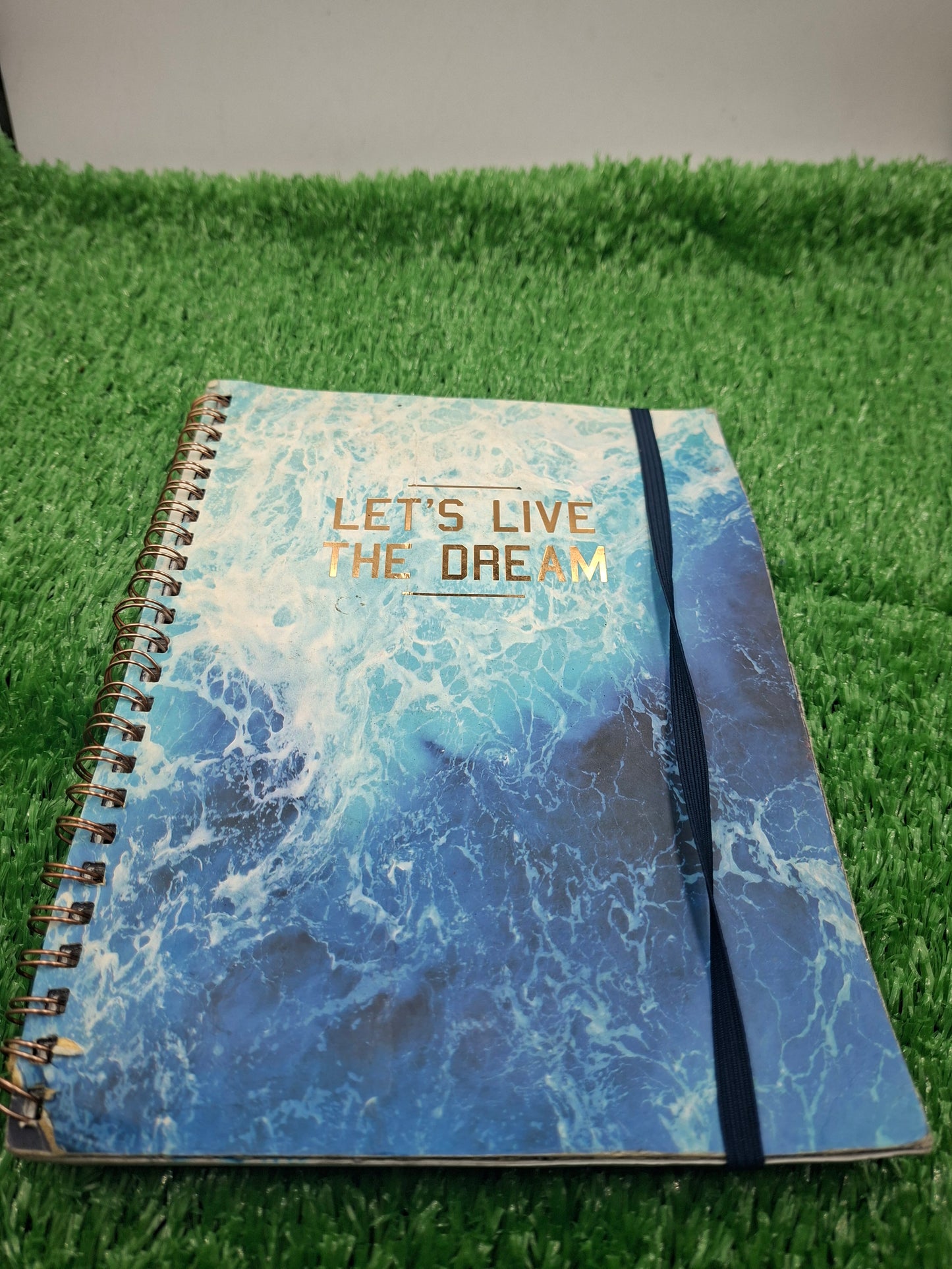 DIARY