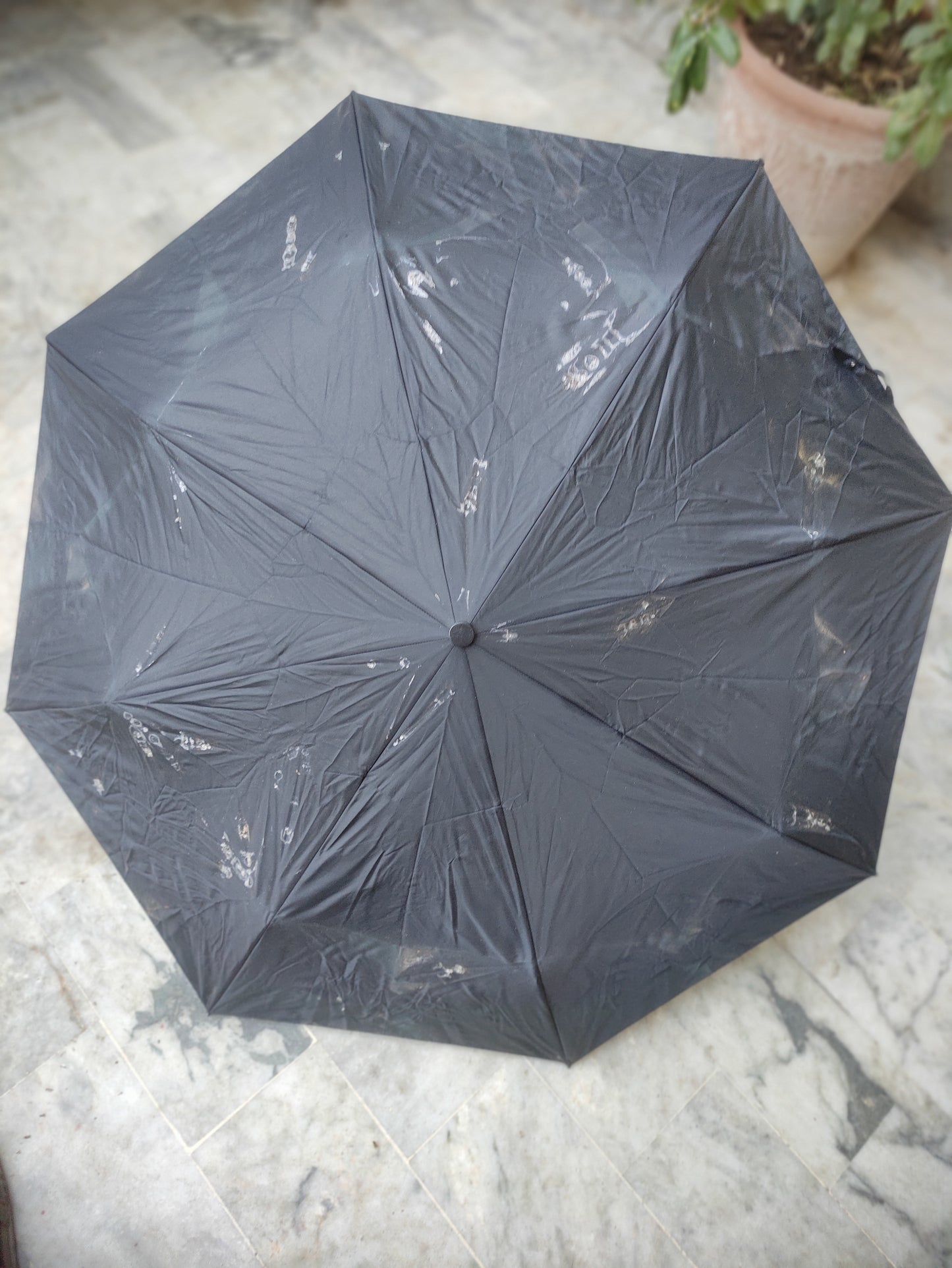 BLACK UMBRELLA