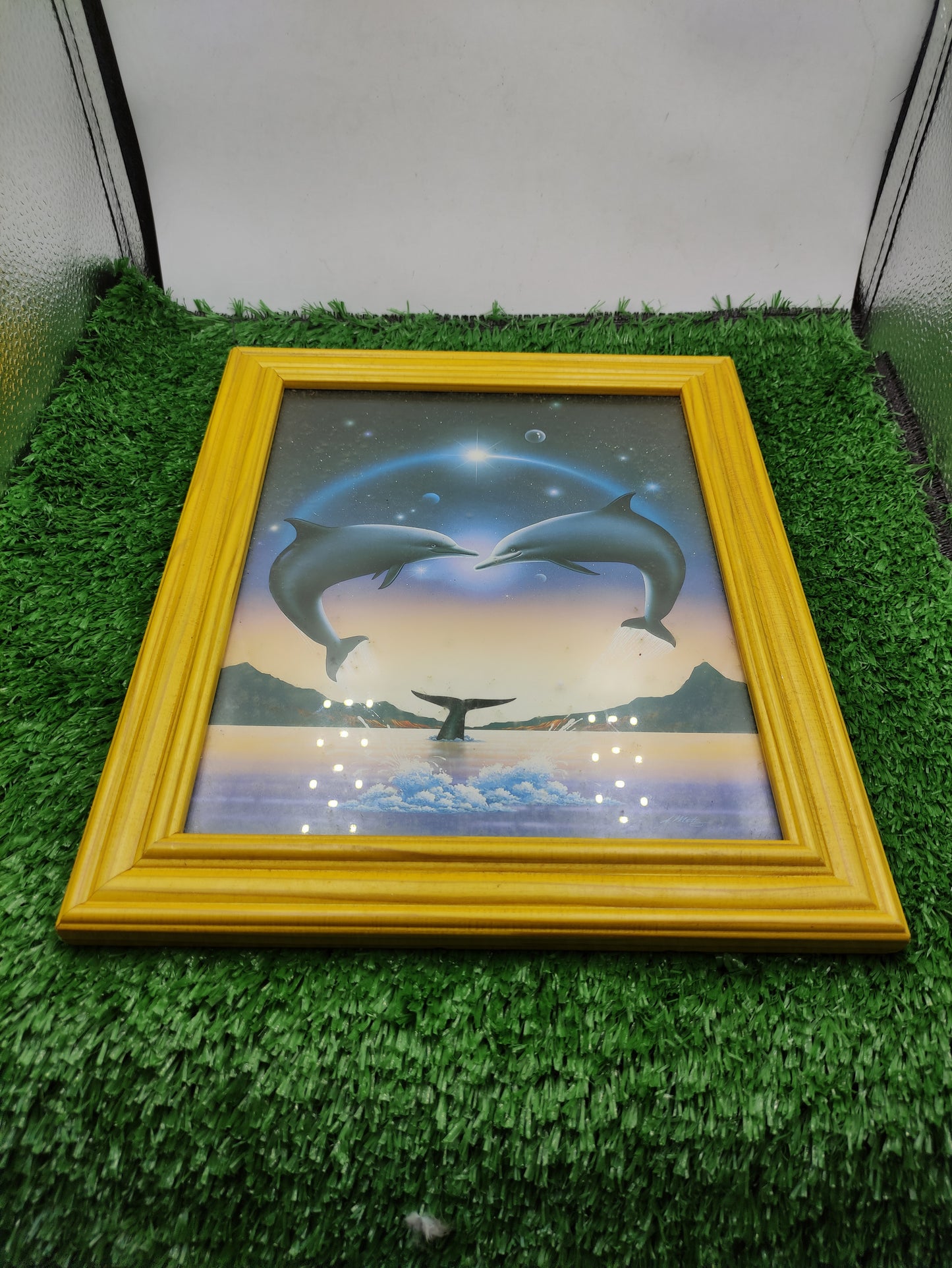 FRAME PICTURE POSTER FEATURING DOLPHINS