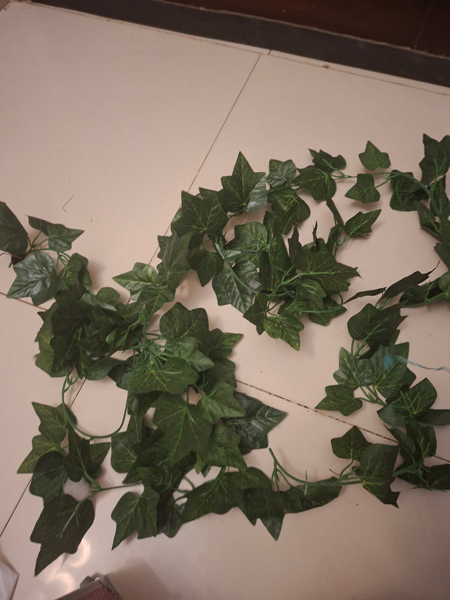 Leaves