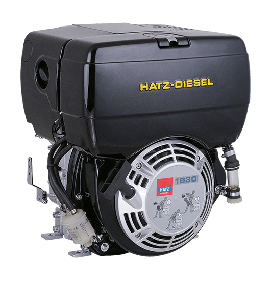 Diesel Engine Hatz Germany 1B30