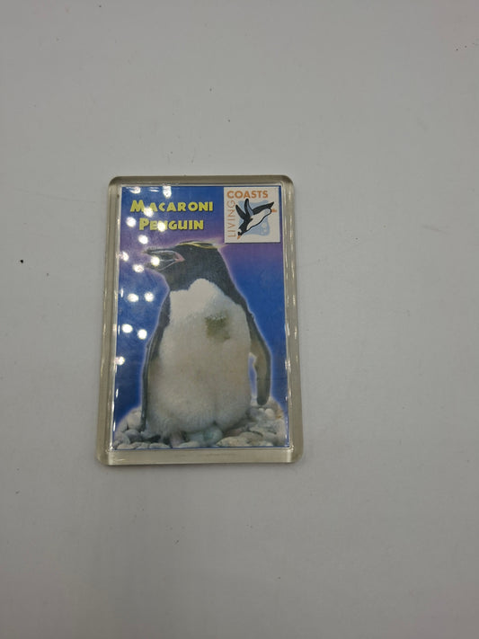 FRIDGE MAGNET