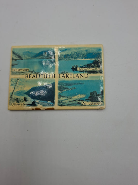 FRIDGE MAGNET