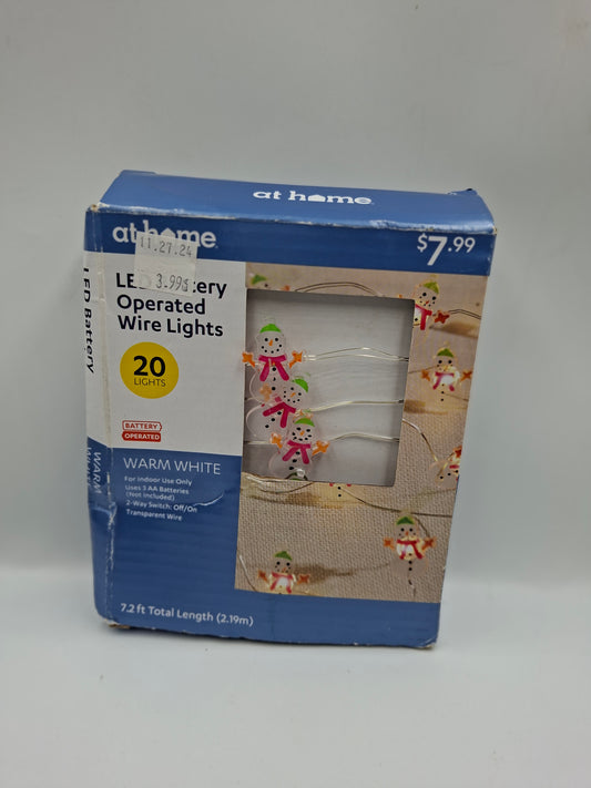 CHRISTMAS LED WIRE LIGHTS