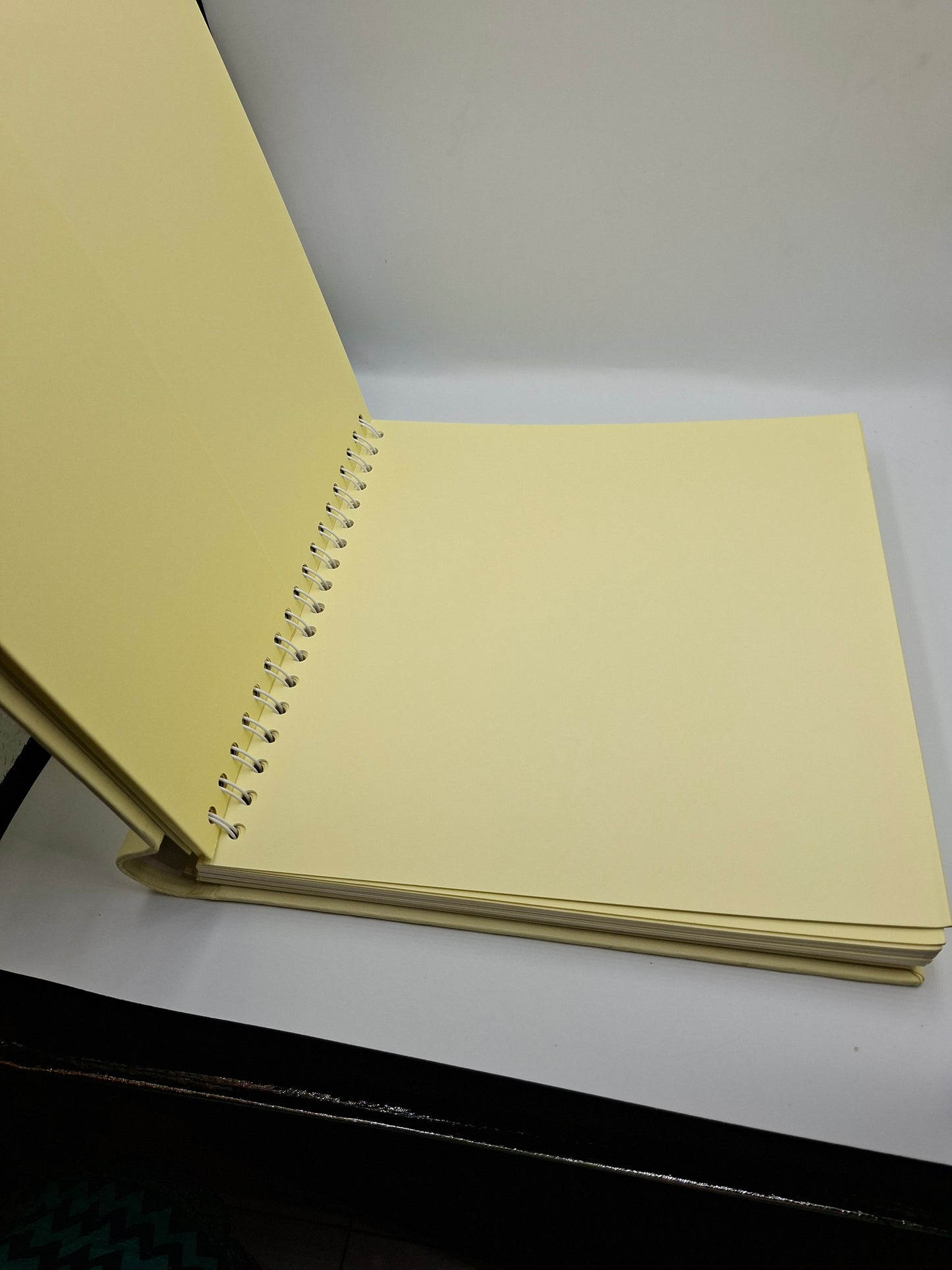 ALBUM OR SCRAPBOOK