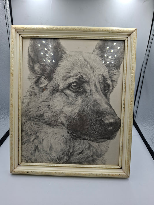 FRAME