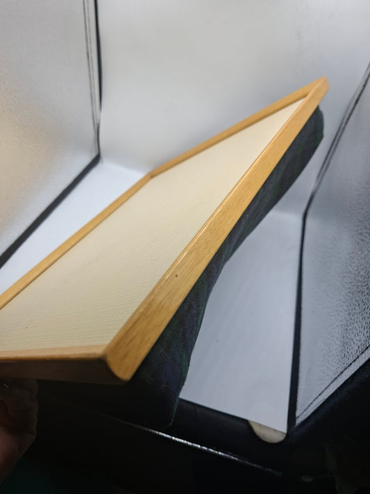 LAP TRAY