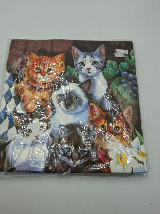 NAPKINS