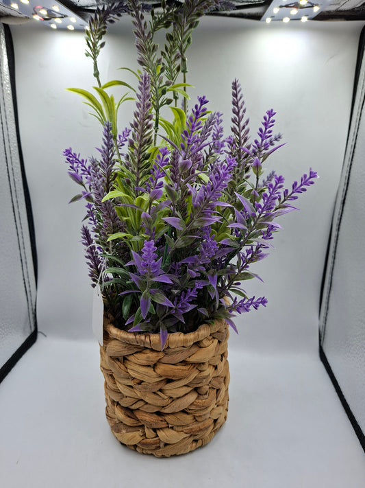 PLANT POT