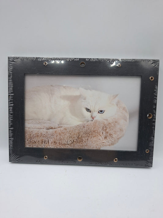 FRAME