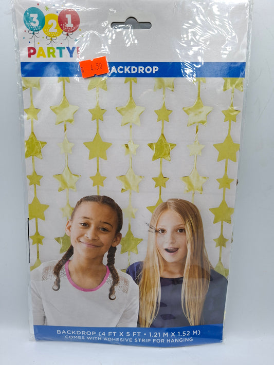 PARTY BACKDROP