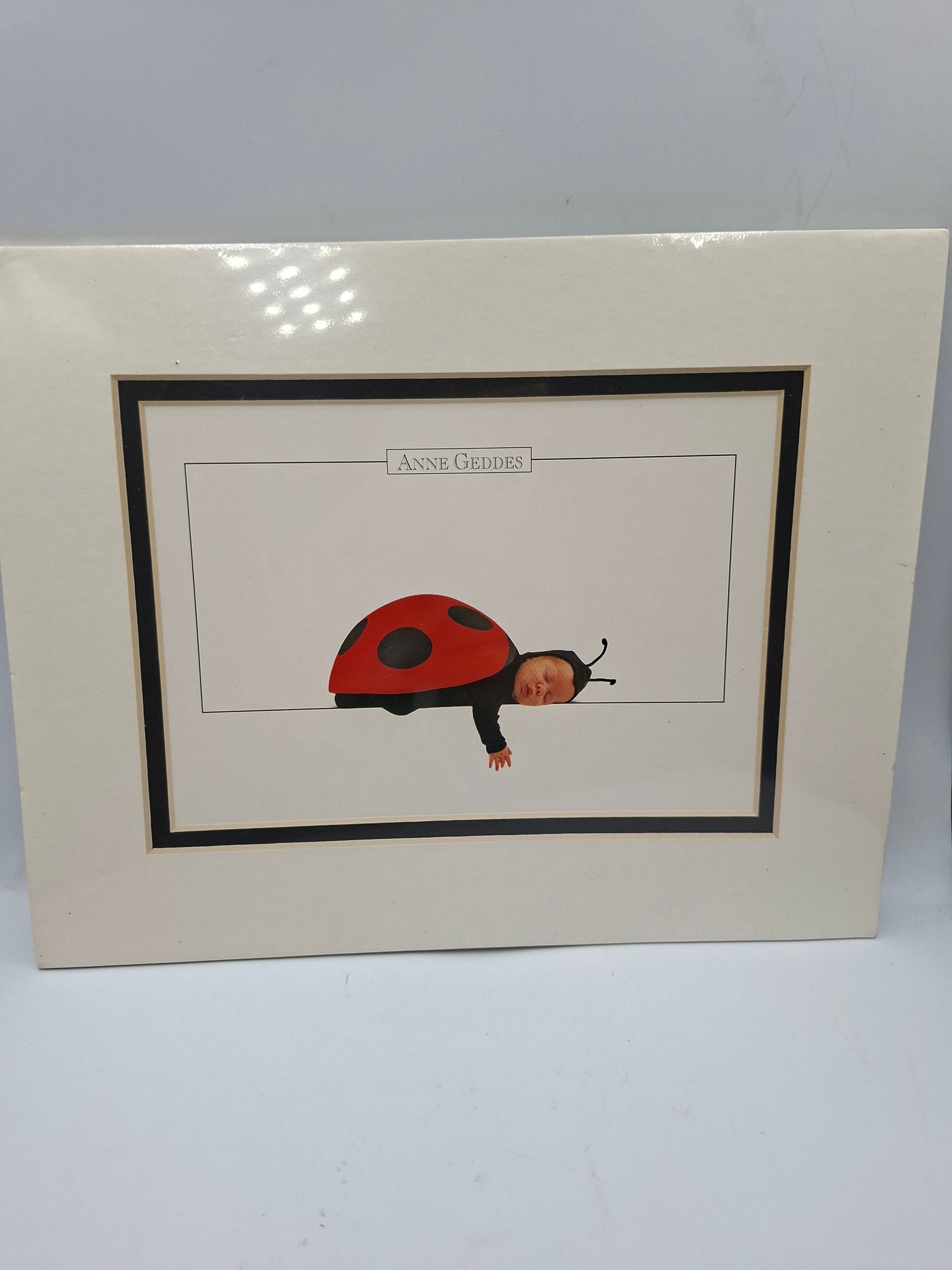 FRAME CARD