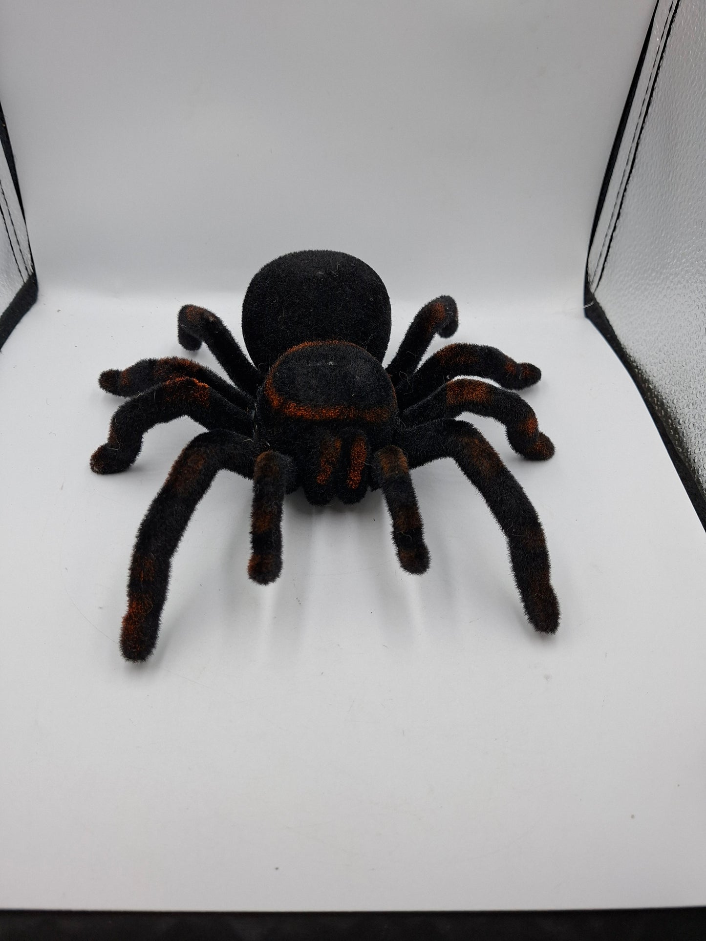 SPIDER