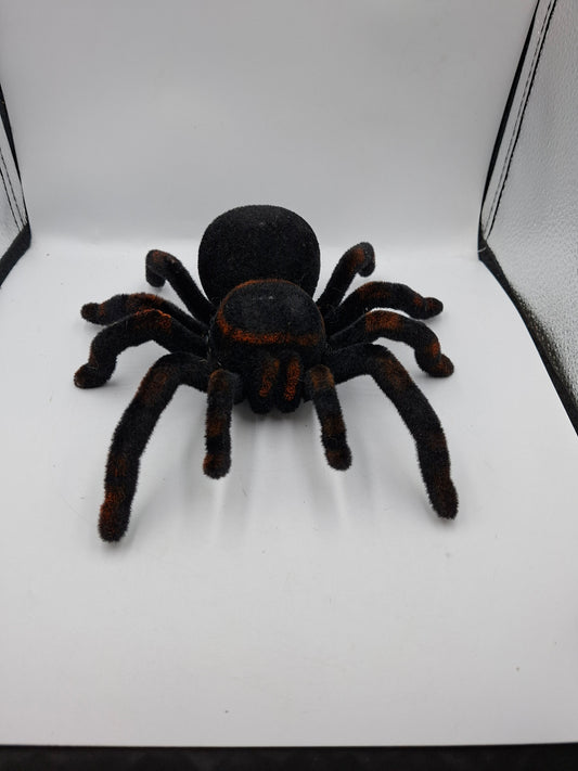 SPIDER