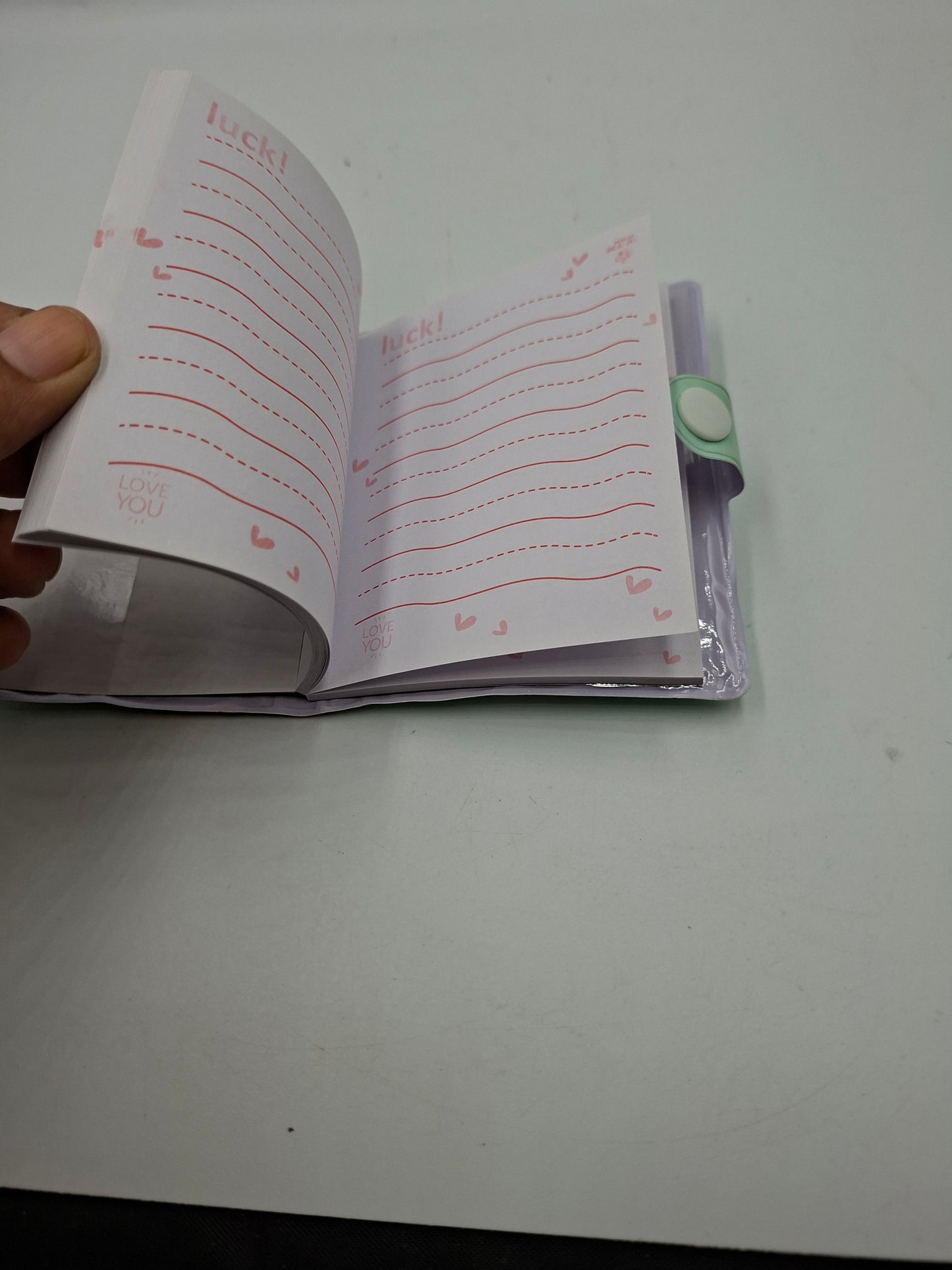 SMALL DIARY