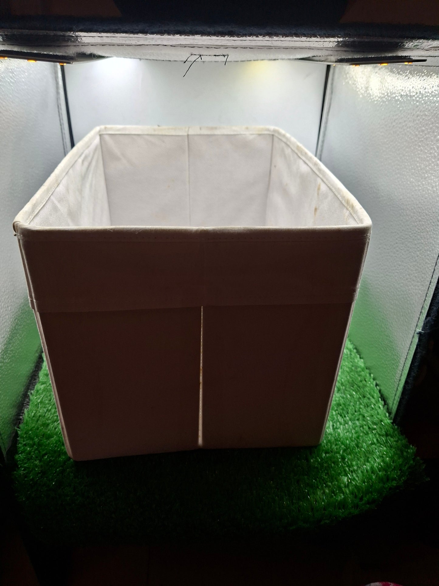 ORGANIZER