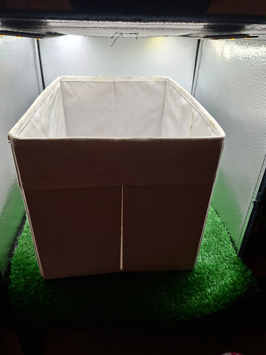 ORGANIZER