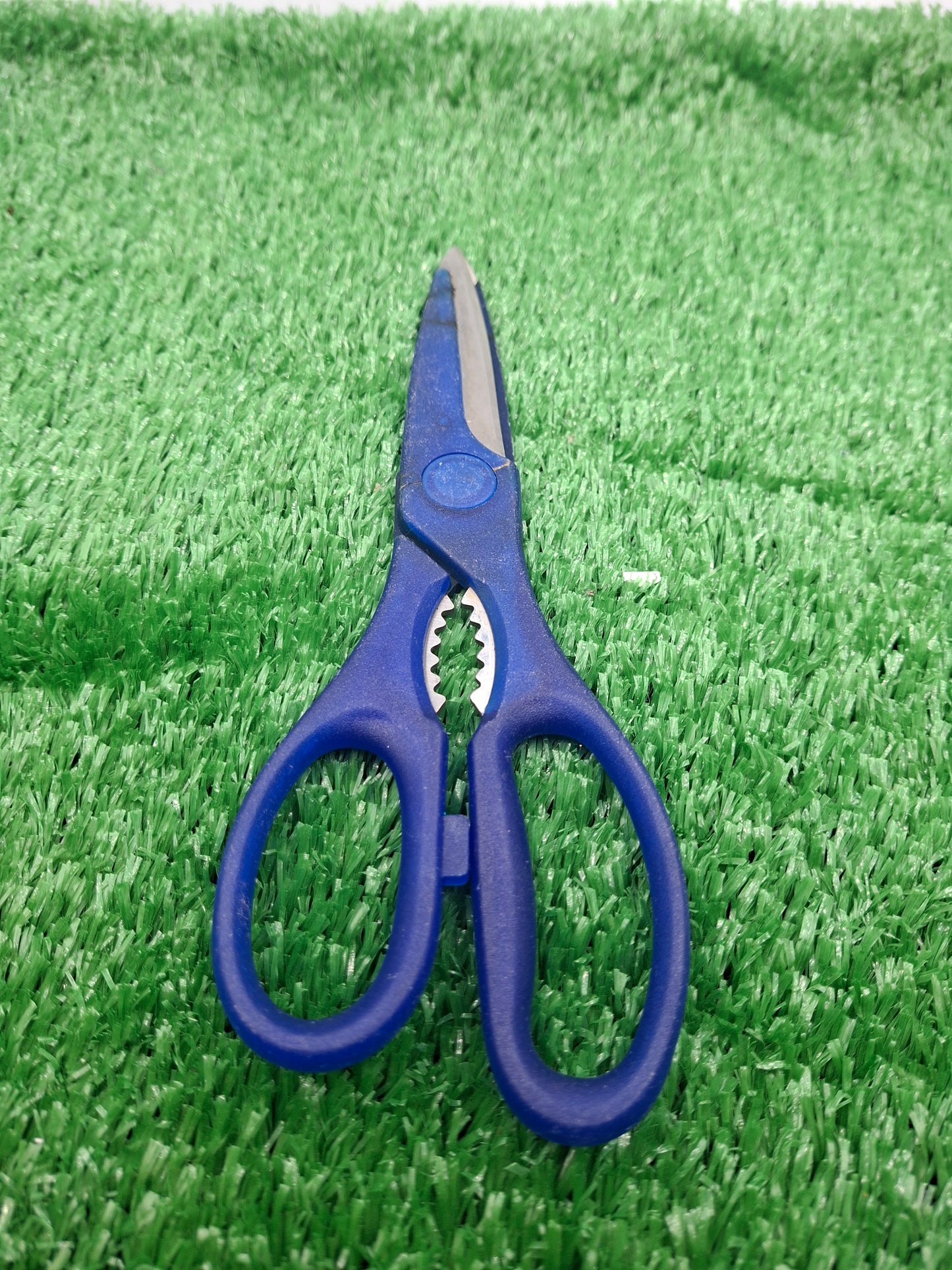 SCISSORS