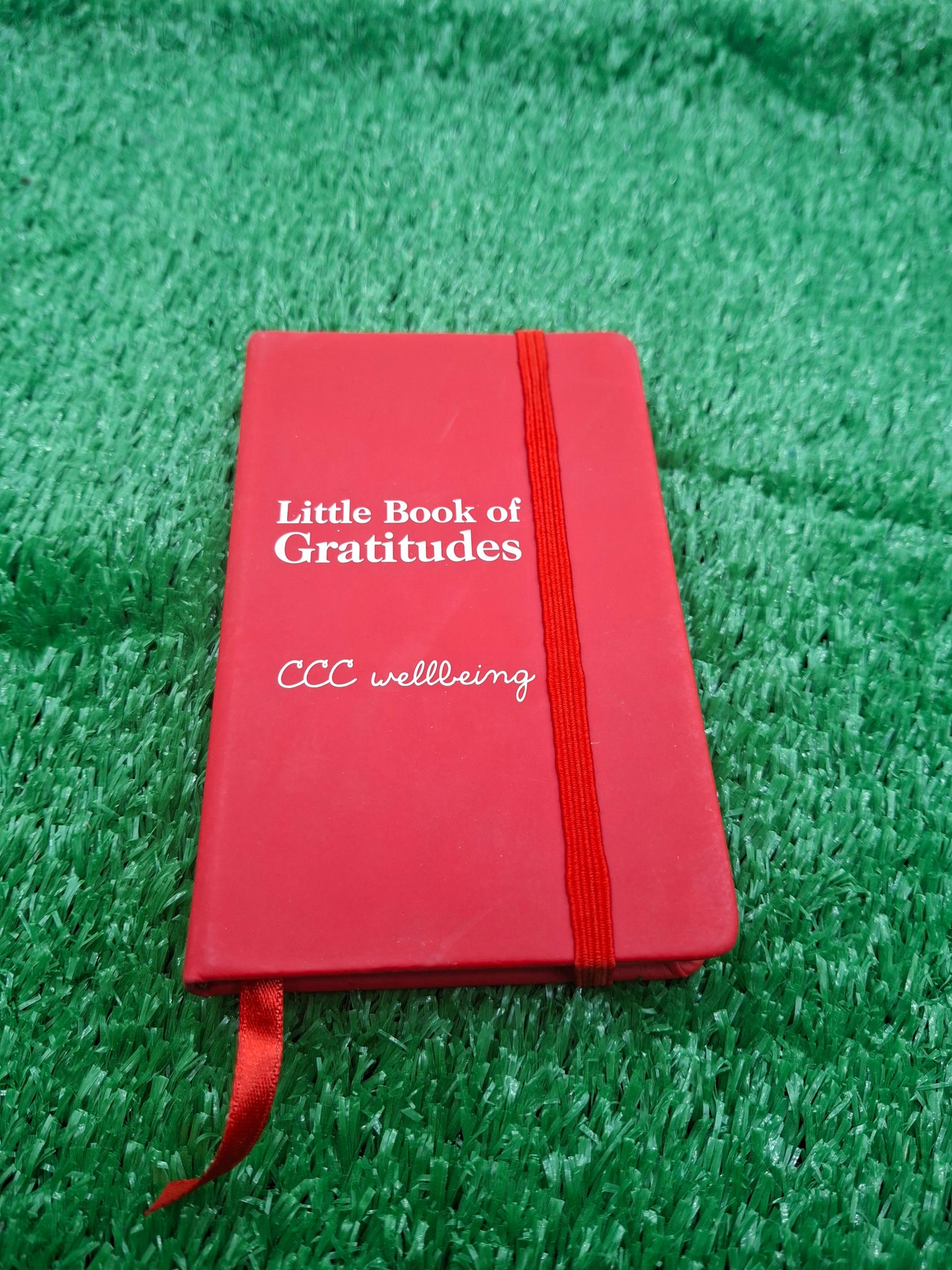 DIARY