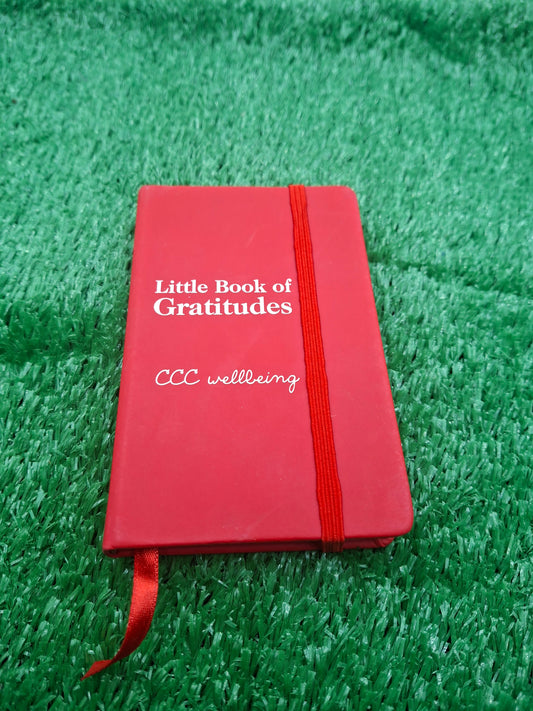 DIARY