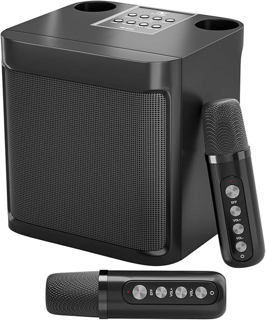 YS-203 Wireless Karaoke Speaker