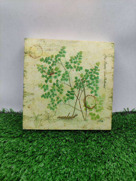MAIDENHAIR FERNS ART BOARD PRINT