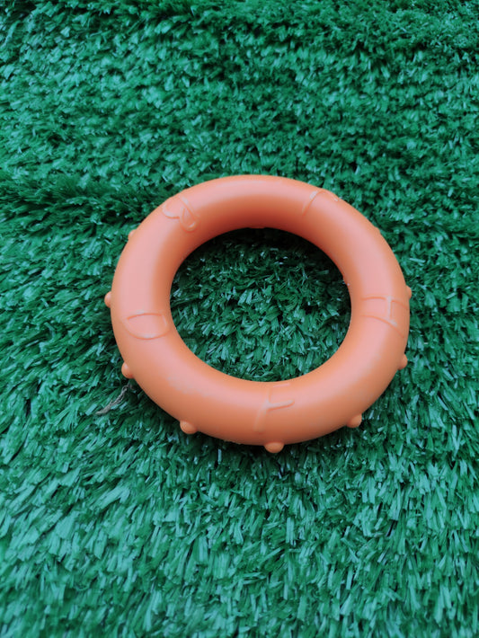 DOG TRAINING RING