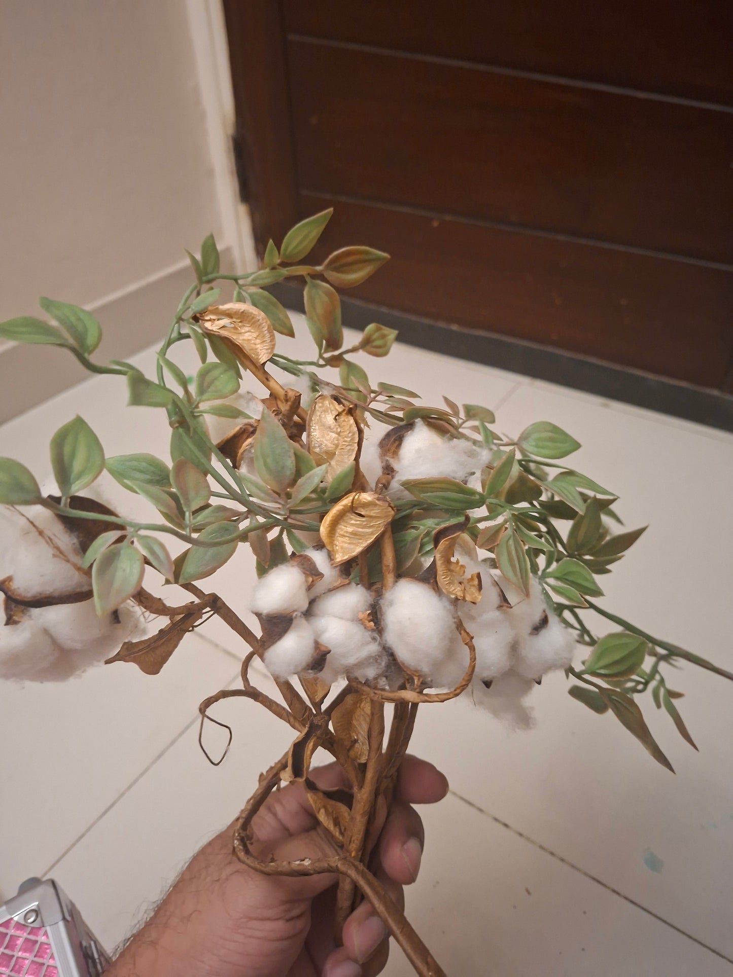 Plant